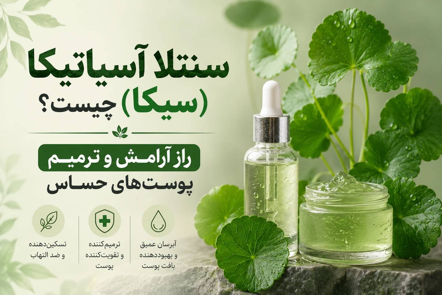 سنتلا آسیاتیکا (سیکا) چیست؟ راز آرامش و ترمیم پوستهای حساس